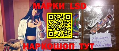 амф Новозыбков