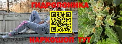 mdma Новодвинск