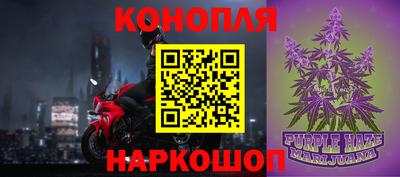 амф Новозыбков