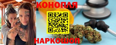 амф Новозыбков