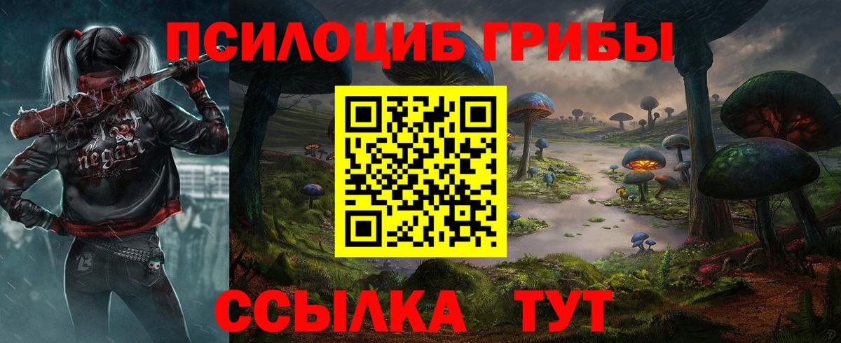 Псилоцибиновые грибы Cubensis Новошахтинск